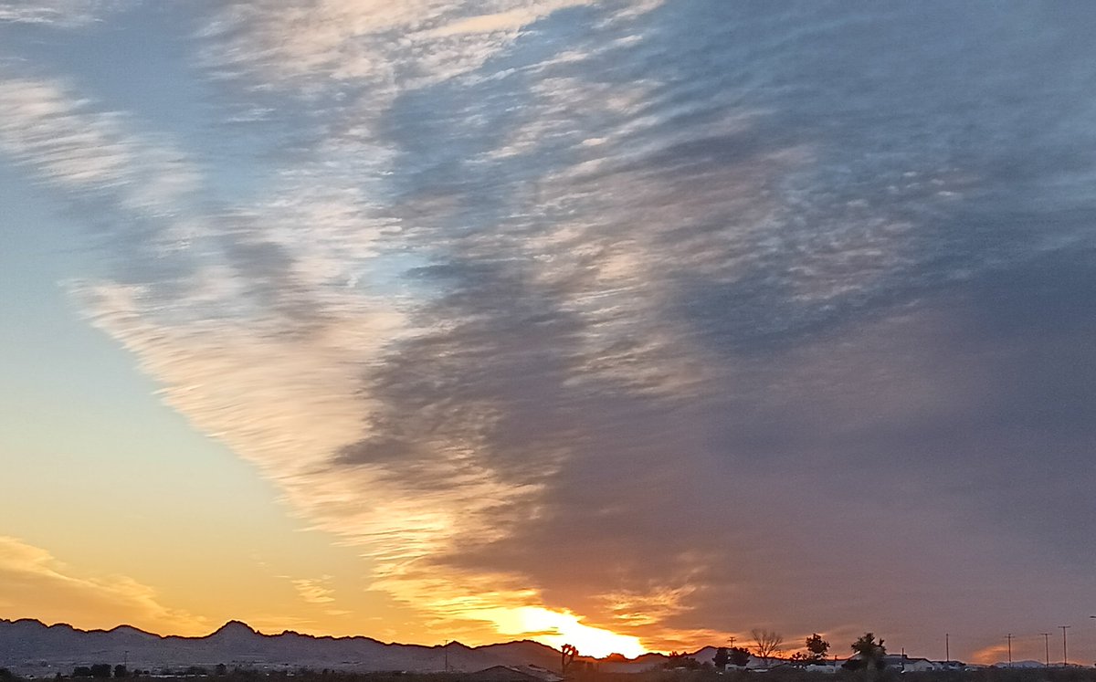 Adam Walko tweet media