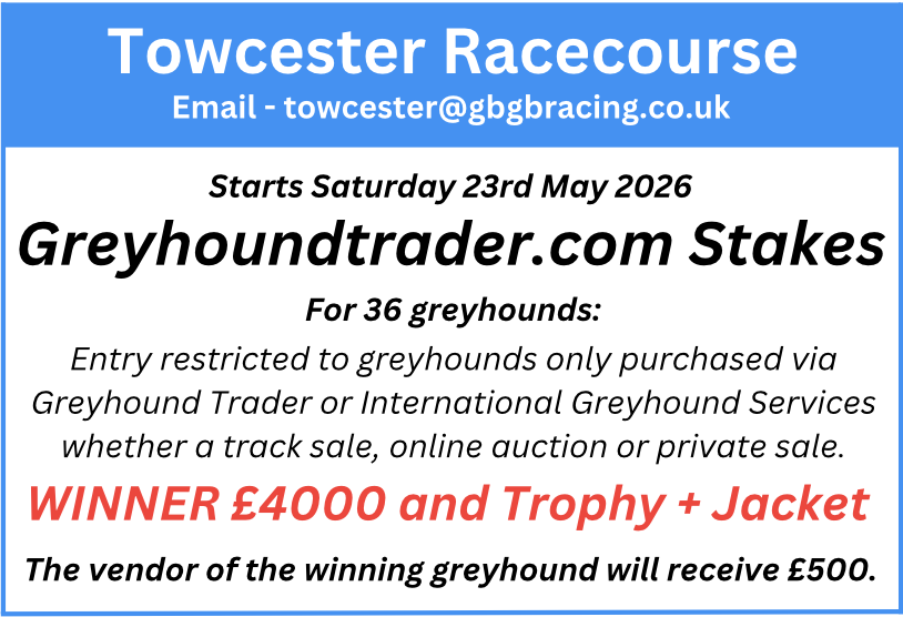 Greyhound Trader tweet media