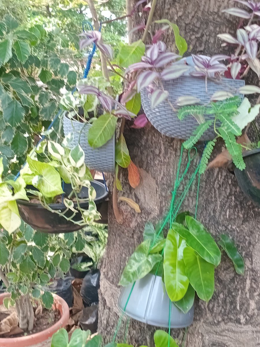 Noor 🌑 tweet media