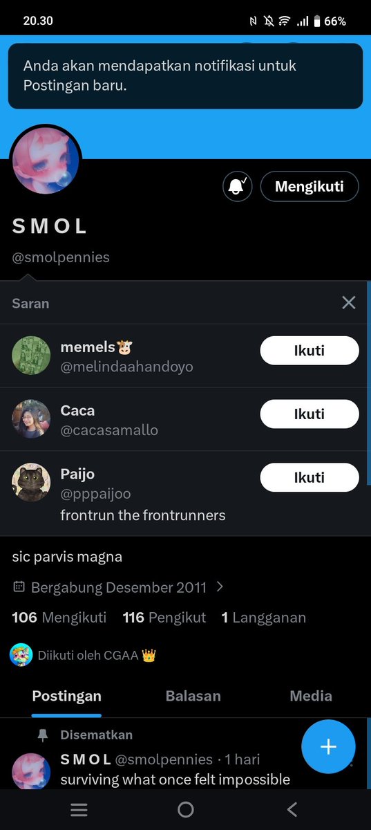 aesthesip's tweet photo. @itsgayri @smolpennies @pppaijoo https://t.co/0FitfGwoXR