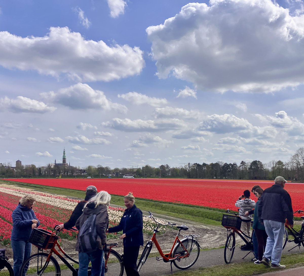 Dick van der Plas tweet media