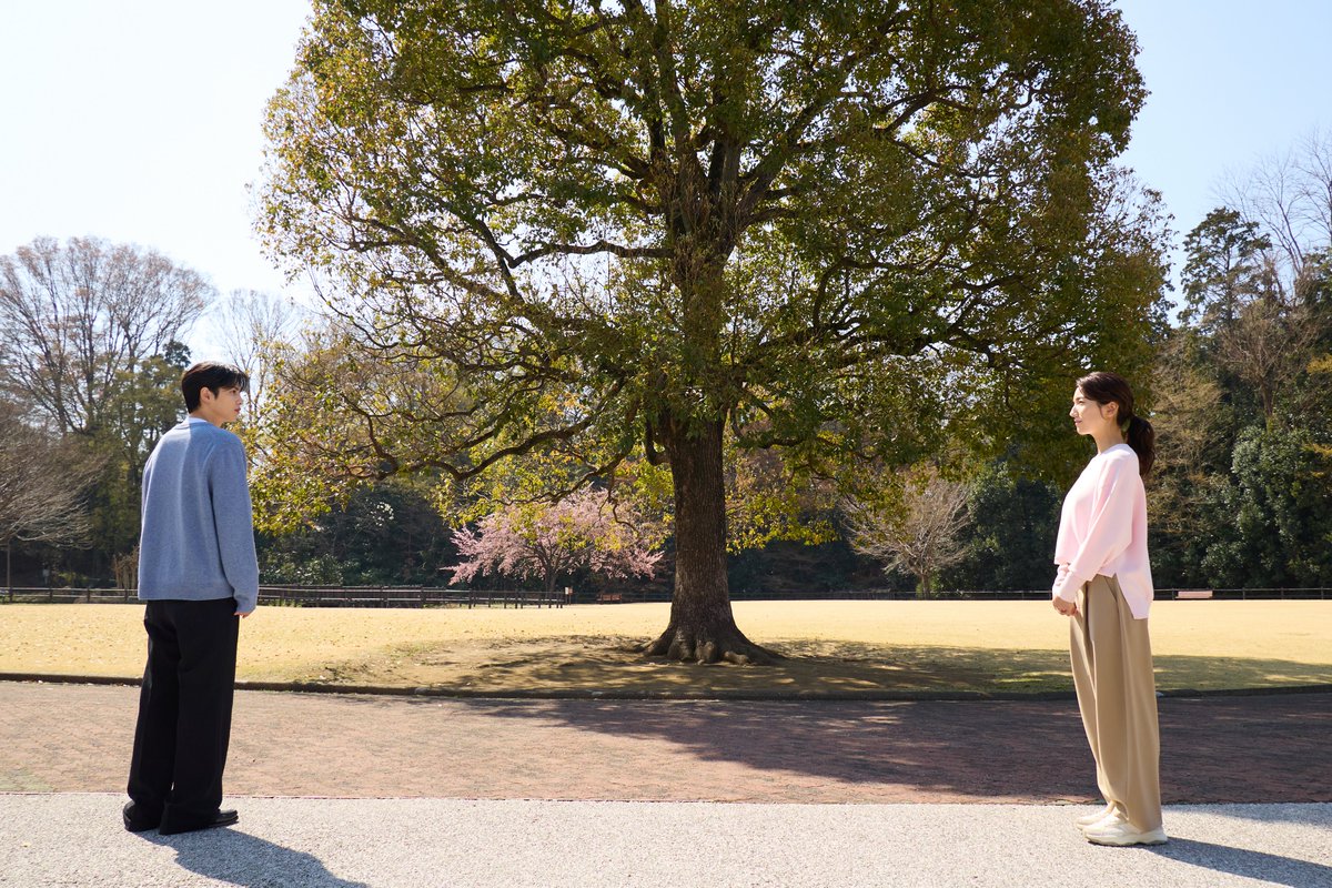 10回切って倒れない木はない【公式】日テレ日曜ドラマ tweet media