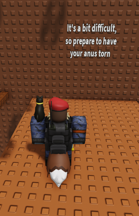 AxelDX_'s tweet photo. I got my anus torn out by this roblox tower
#roblox #robloxdev #robux #crypto #poopie https://t.co/EbjervMPOY