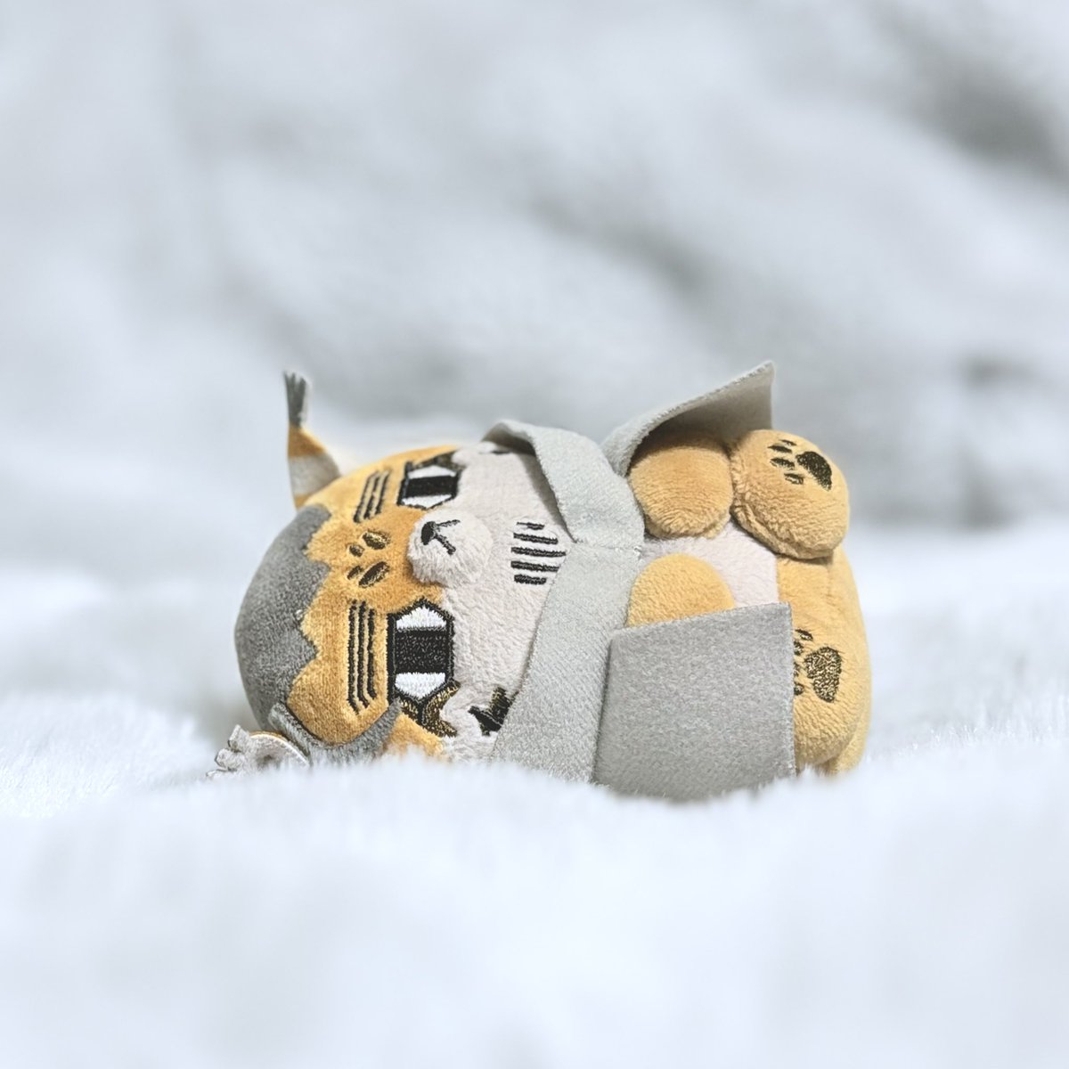 うちのほぜち tweet media