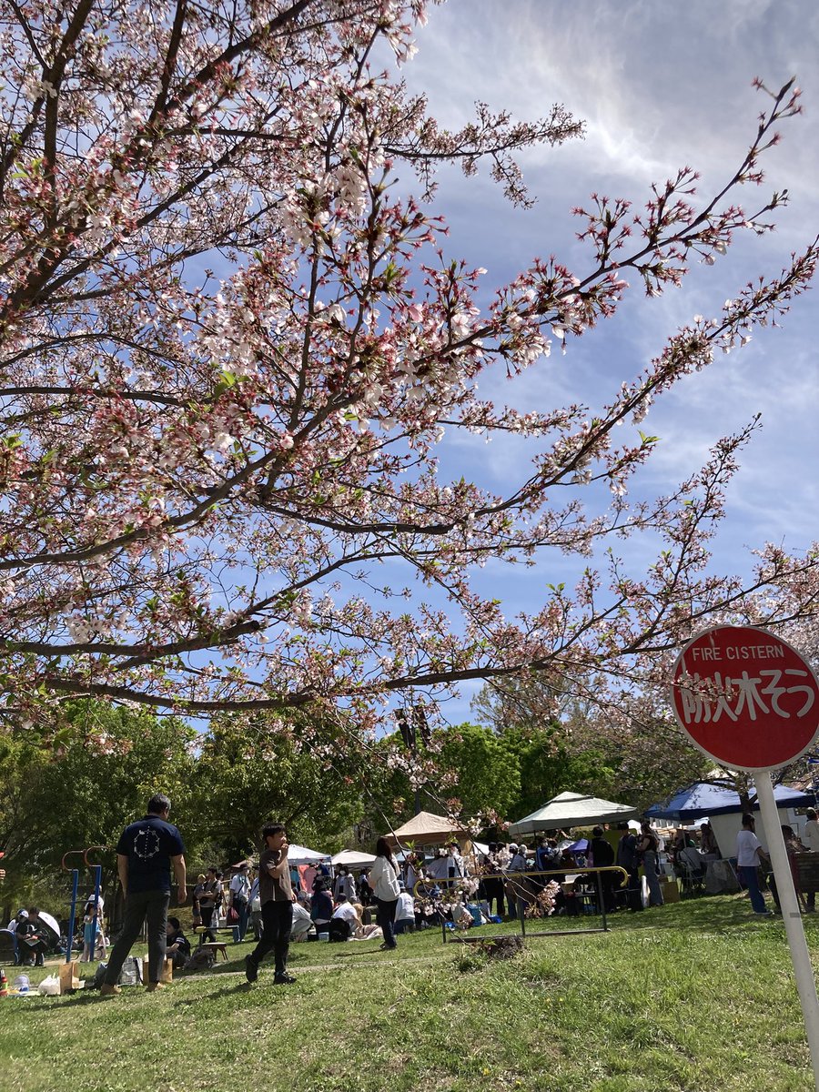 かいちゃんねる/バックパックキャンパー tweet media