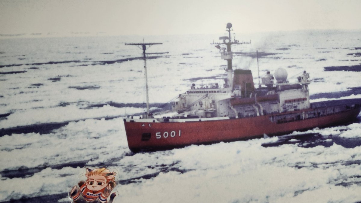 みゆき tweet media