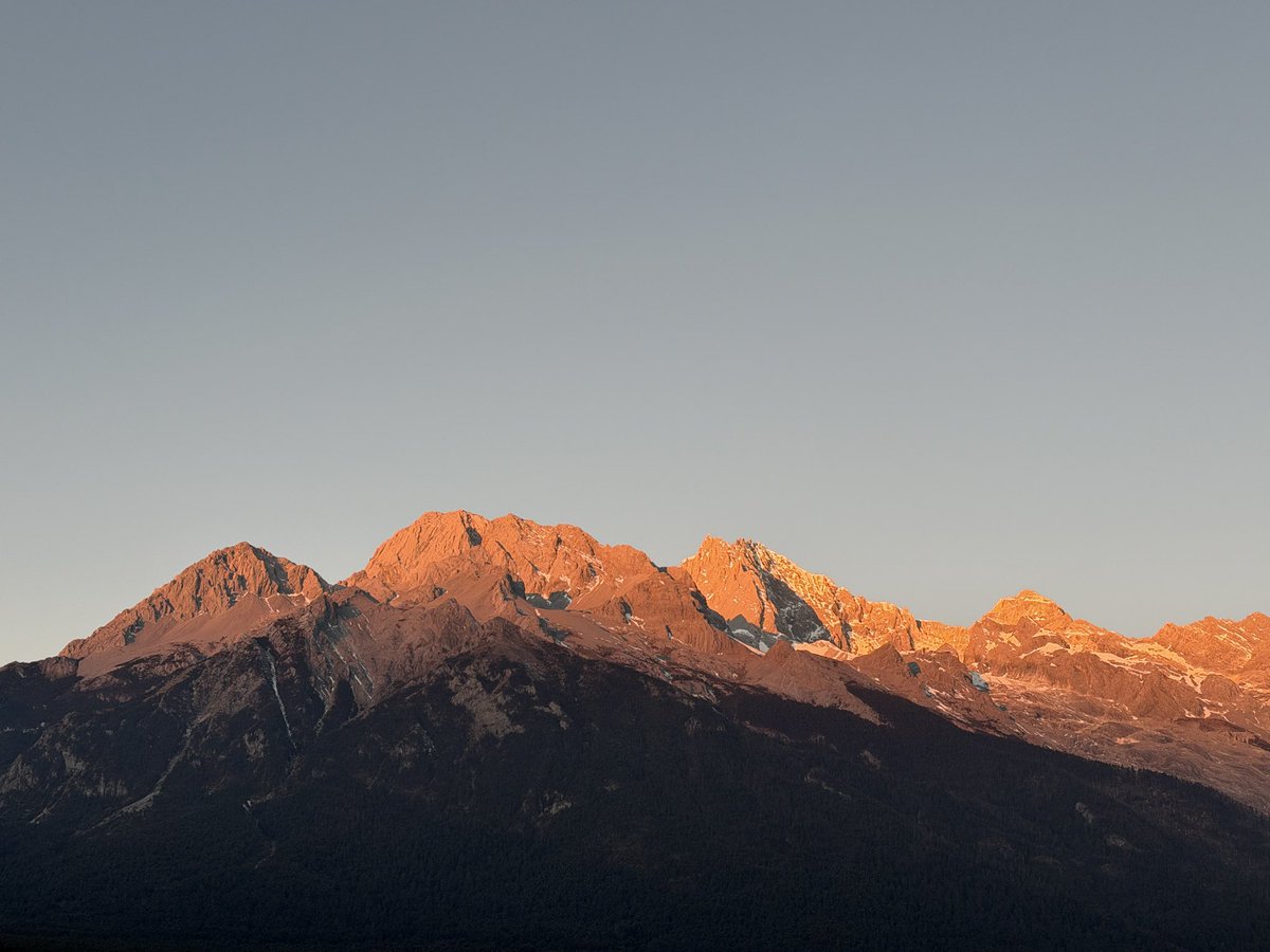 暂停键海豹 tweet media