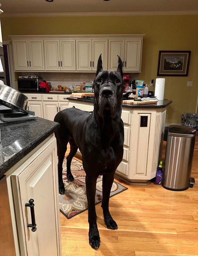 Easy 🅰️ tweet media