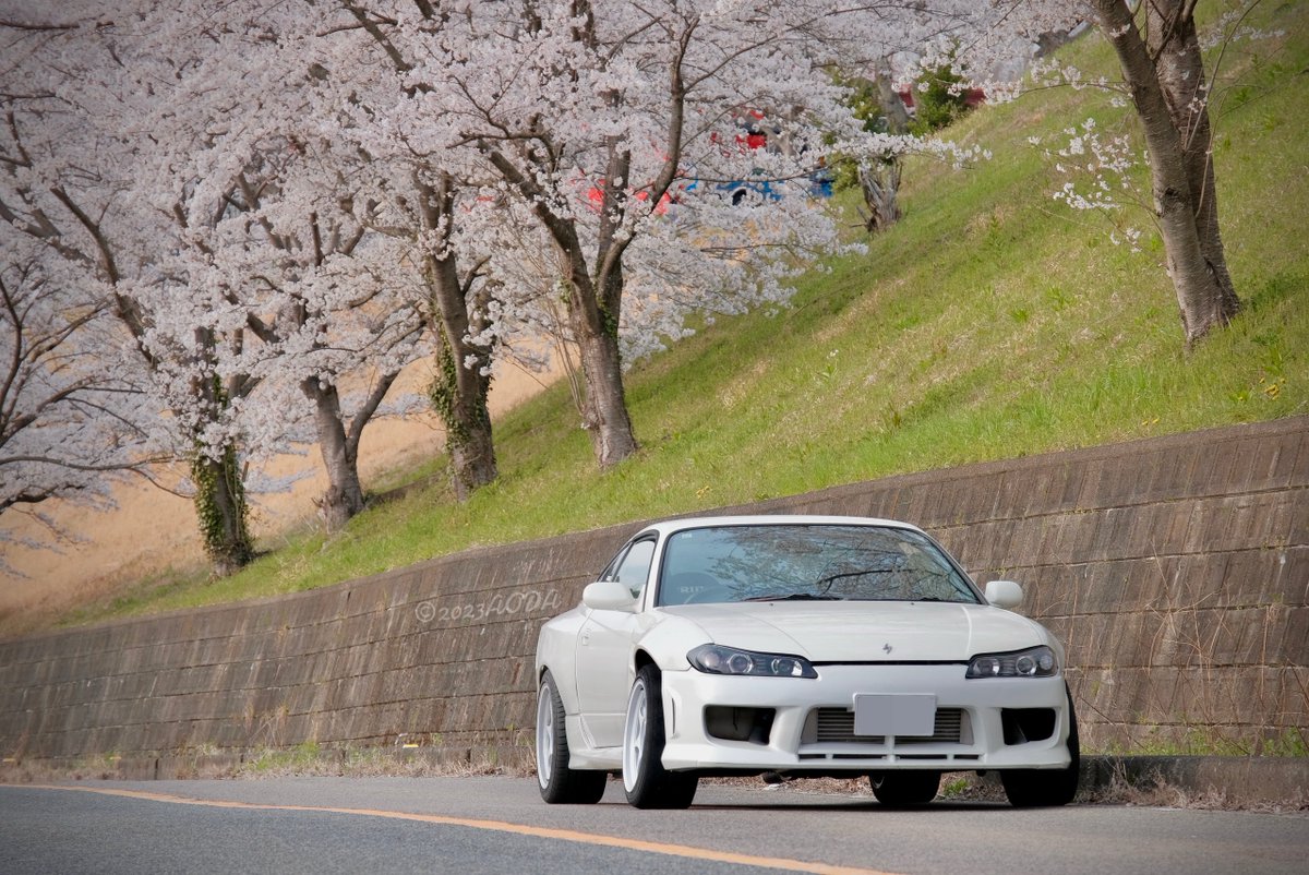 あおだ tweet media