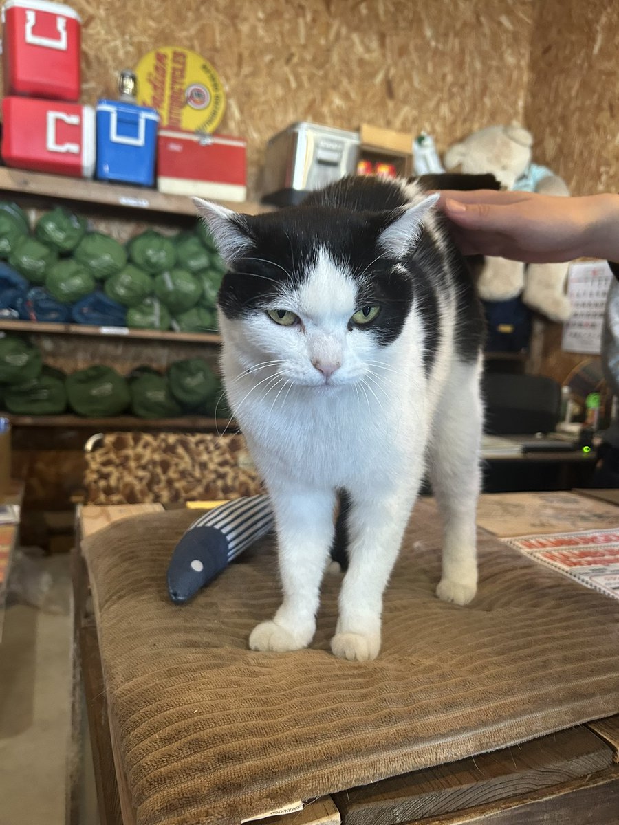 𝒏𝒂𝒐🛸 tweet media