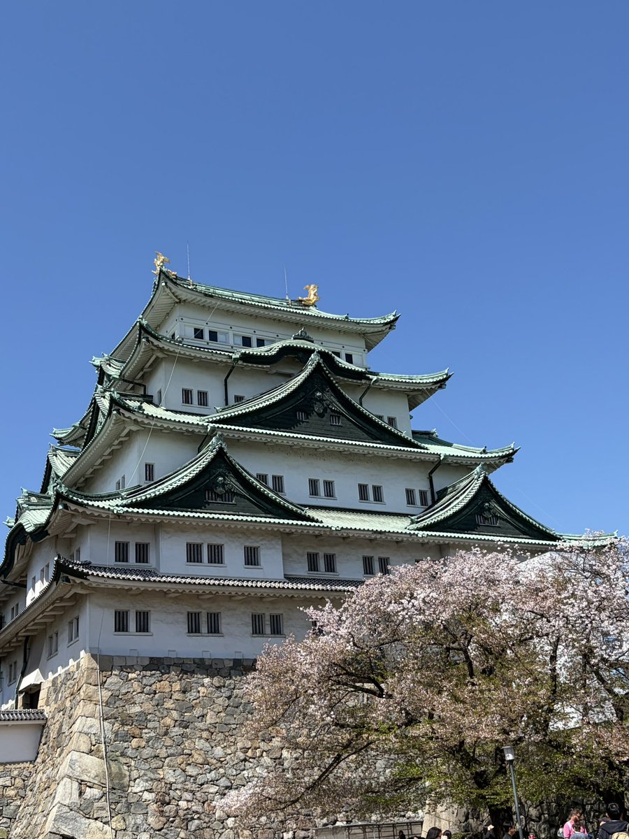 345_interior's tweet photo. 2026年の桜の記録🌸

江之浦測候所
名古屋城
大山阿夫利神社

歴史ある建物×桜の特別な景色を今年はたくさん堪能！ https://t.co/t9drg0buEe