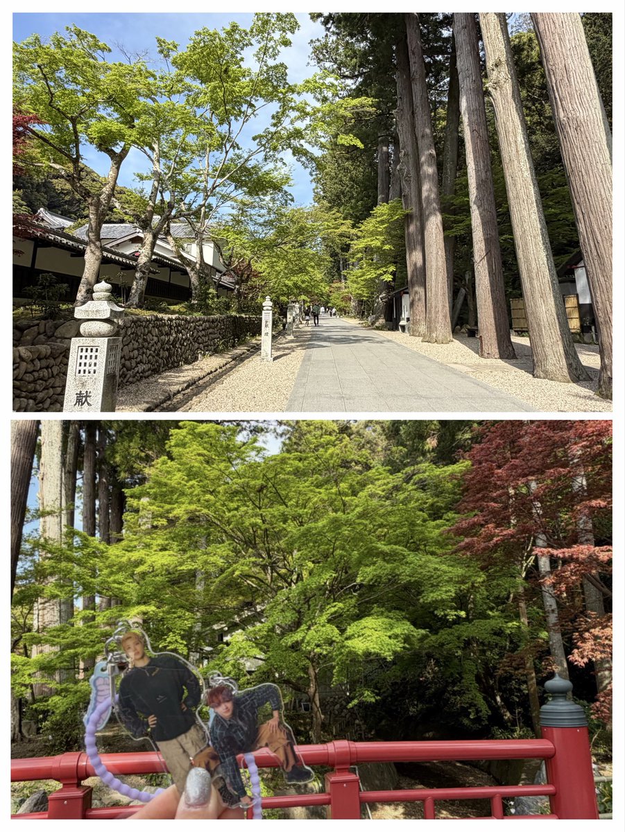 🐉ゆーき🧢 tweet media