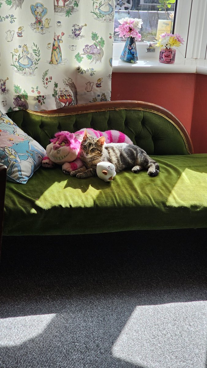 Todd Tolansky tweet media