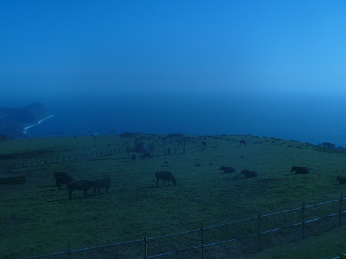 アシアタ tweet media