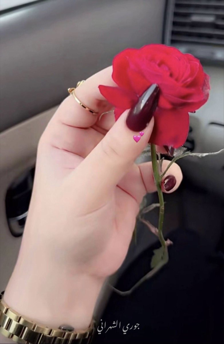 چورى الشهراني💙 tweet media