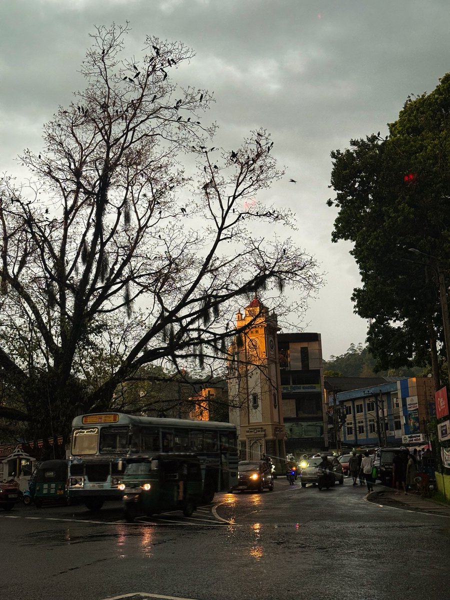 Chandula Usitha 🤵‍♂️ tweet media