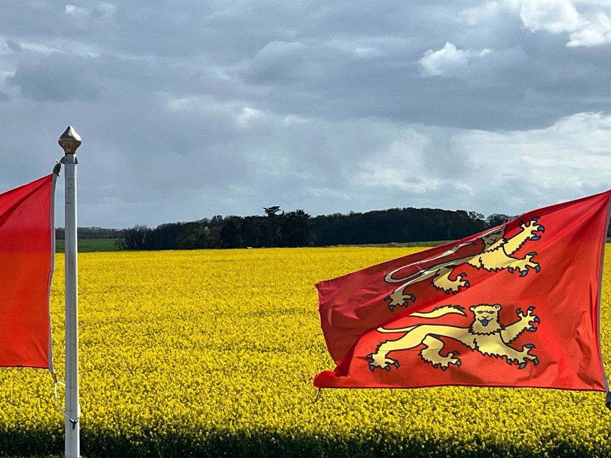 Identité Céréales tweet media