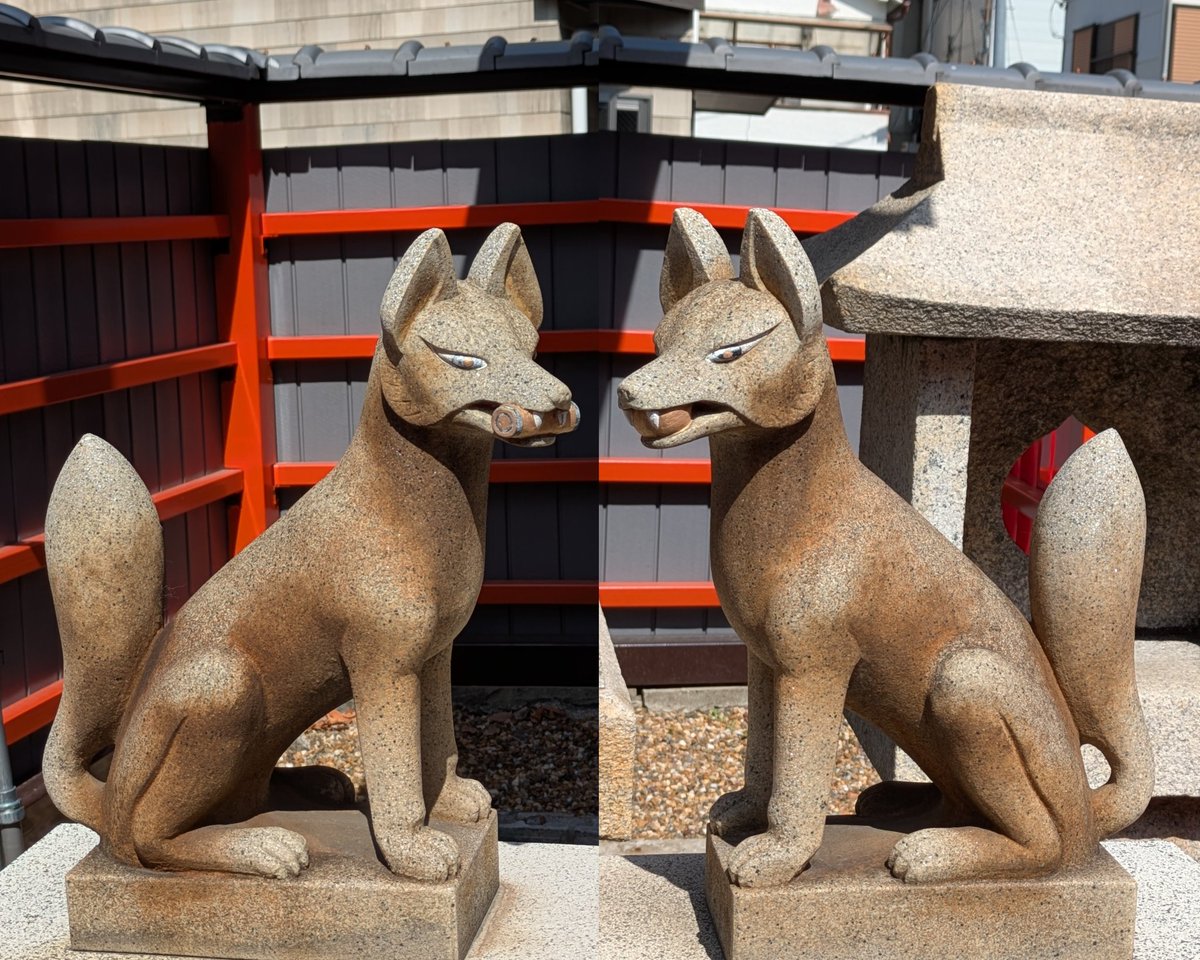 kitsunetsuki0w0's tweet photo. 松本稲荷神社
大阪府大阪市東成区中道
藤原道長が1017年に別邸に奉祀した中道八阪神社の境内社。
連なった鳥居と白狐をあしらった御朱印を戴きました。
境内で寛ぐ猫が多いそうで玉垣からもひょっこり覗いていました。 https://t.co/lEyp0iBiGE