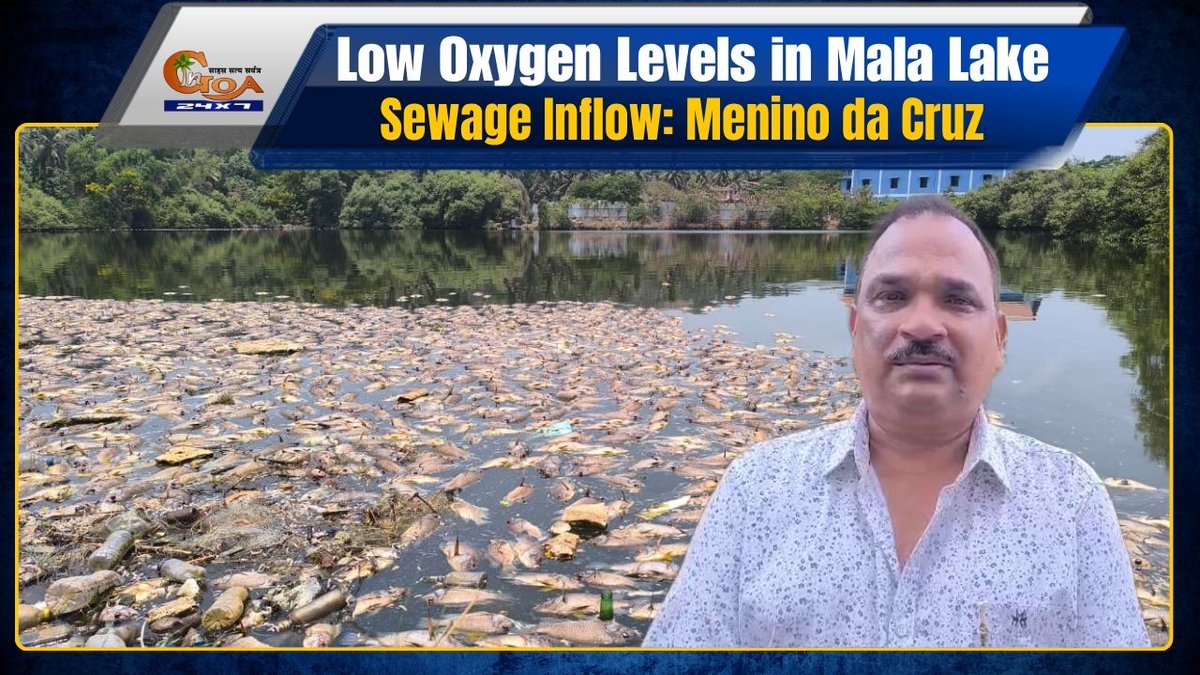 InGoa24x7's tweet image. Low Oxygen Levels in Mala Lake Due to Sewage Inflow: Menino da Cruz
WATCH:youtu.be/pUslyTEqLeI

#GOA #GOANEWS #INGOA #MalaLake #Pollution #MeninoDaCruz #Environment #WaterIssue #GoaConcern #BreakingNews #GoaUpdates