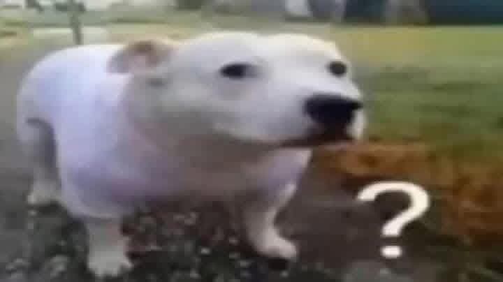 Phúc Hiệp Đoàn tweet media