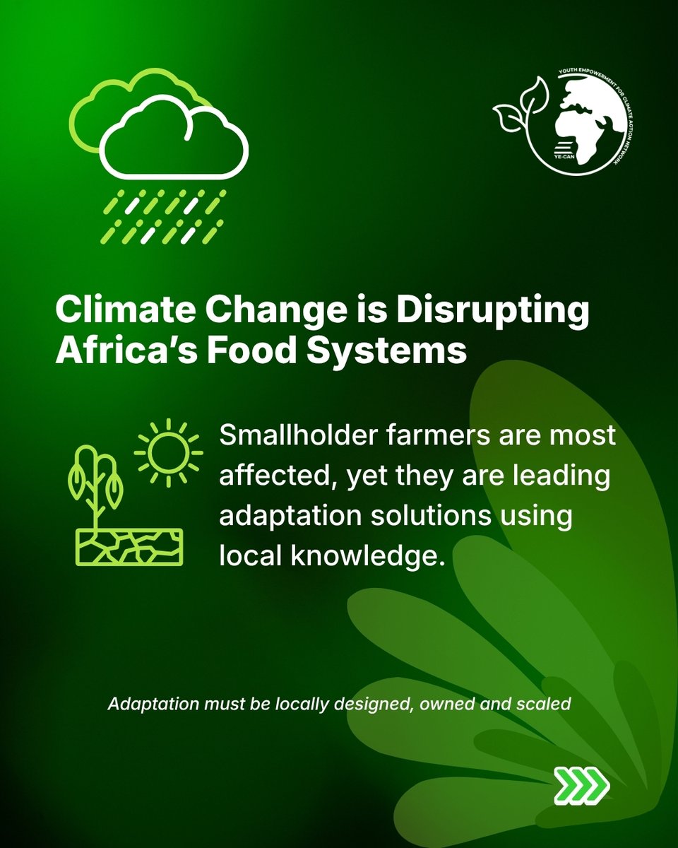 Youth Empowerment for Climate Action Network tweet media