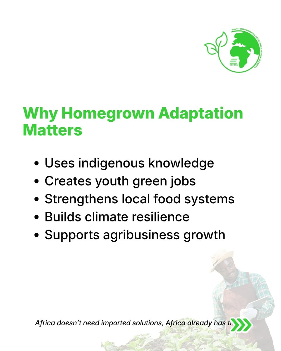 Youth Empowerment for Climate Action Network tweet media