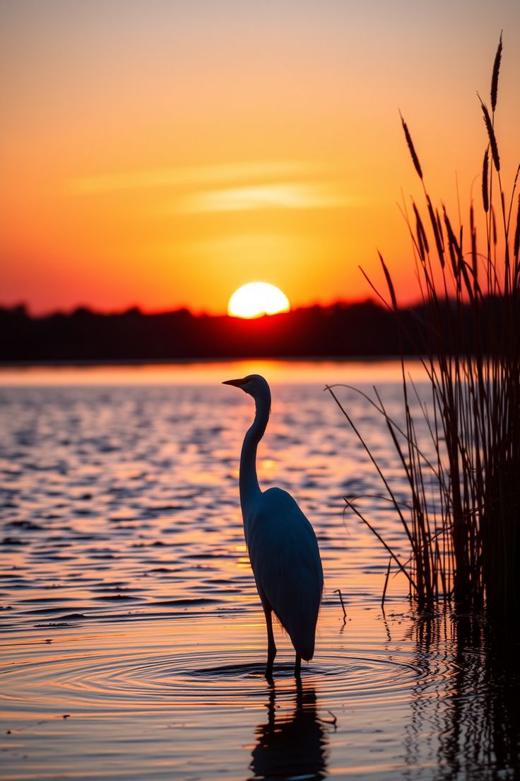 Bettina Schroeder tweet media