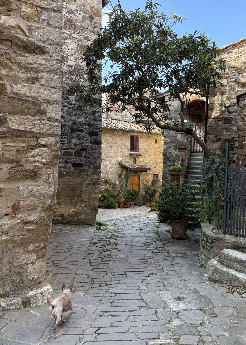 りりぃ tweet media