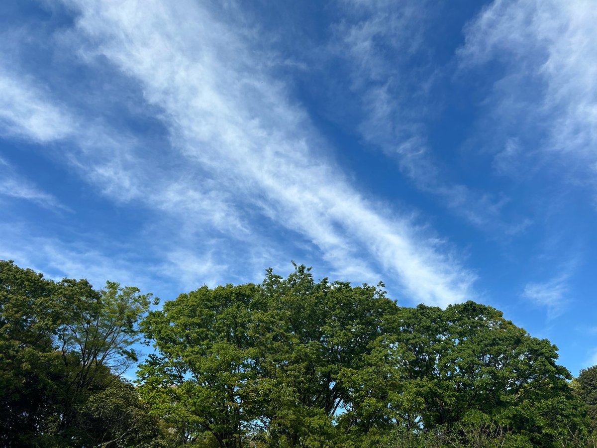 ゆみ@社労士𝕏シャロスタ tweet media