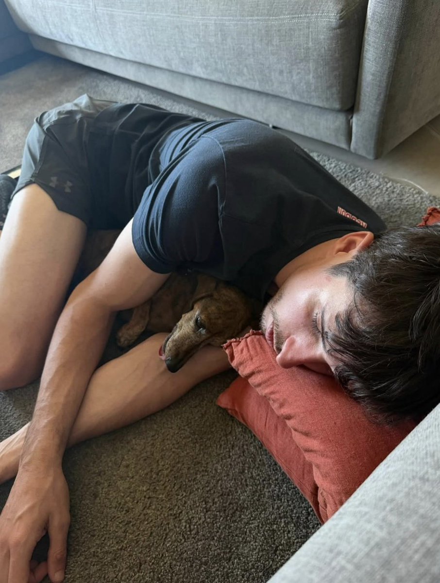 Romo 🕊 HRESINI tweet media