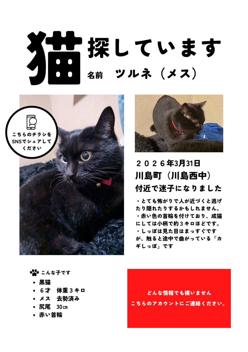 377TN2KuOS21980's tweet photo. 3月31日から黒猫のツルネ(6歳メス)が帰ってきていません。
場所は埼玉県川島町付近です。

目撃情報、保護情報等どんな情報でも構いません。
よろしくお願いいたします。

#拡散希望 #迷子猫 #迷い猫 #埼玉県 #川島町 #猫 #猫を探しています #失踪 #黒猫 https://t.co/S0d40Lj6Rm