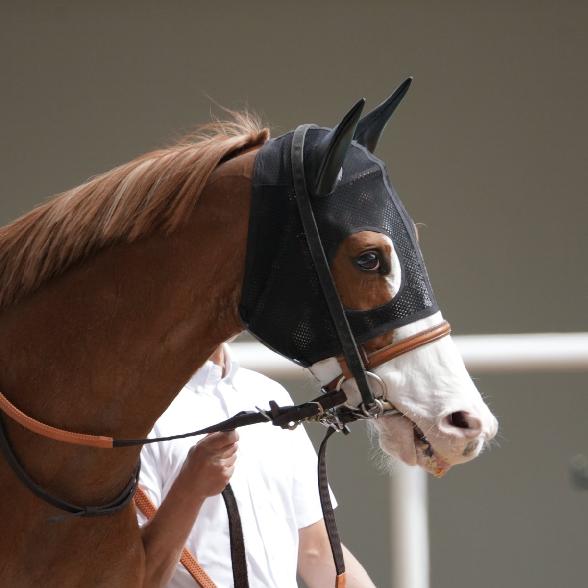 サビヌキコペン tweet media