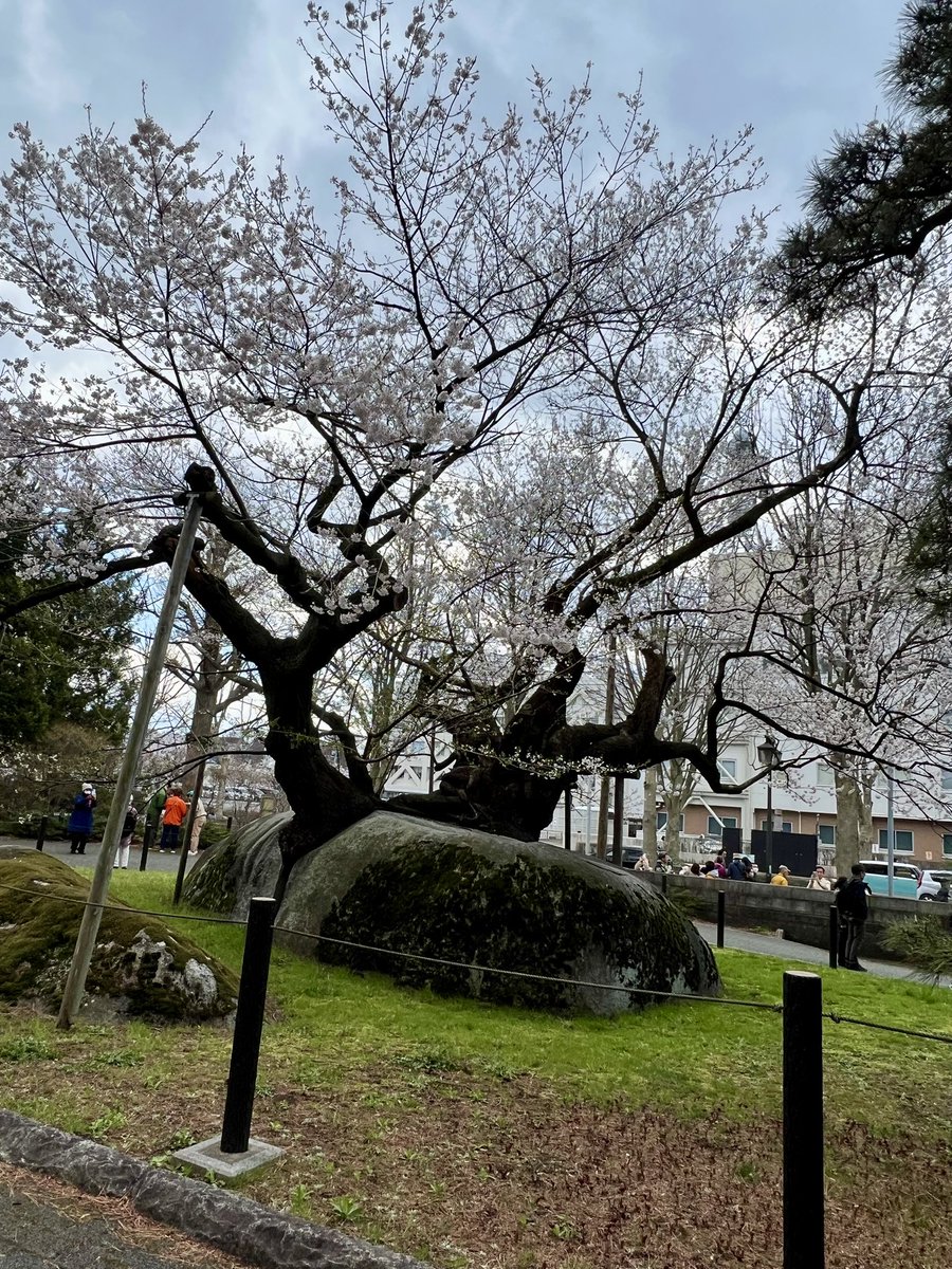 yuuki（ゆうき） tweet media