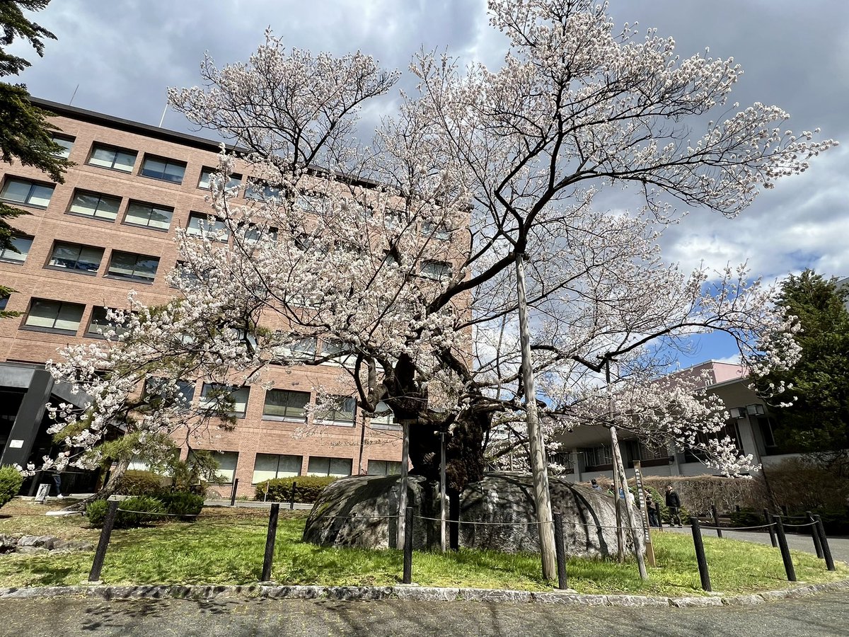 yuuki（ゆうき） tweet media