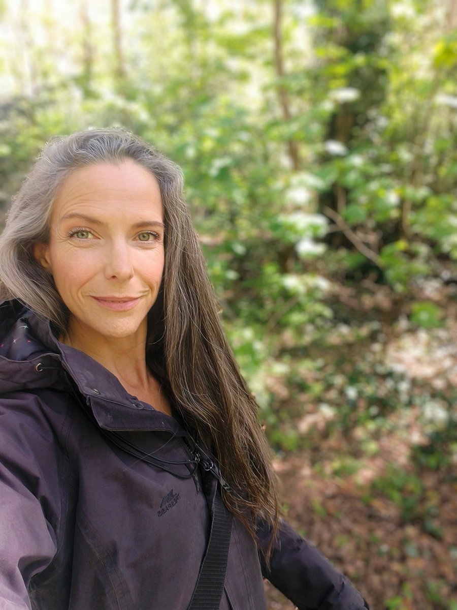 LadyGrace27's tweet image. Follow the path… it always knows the way.🌳💜

#sundayvibes #walks #woods #woodlands #bluebells #nature
