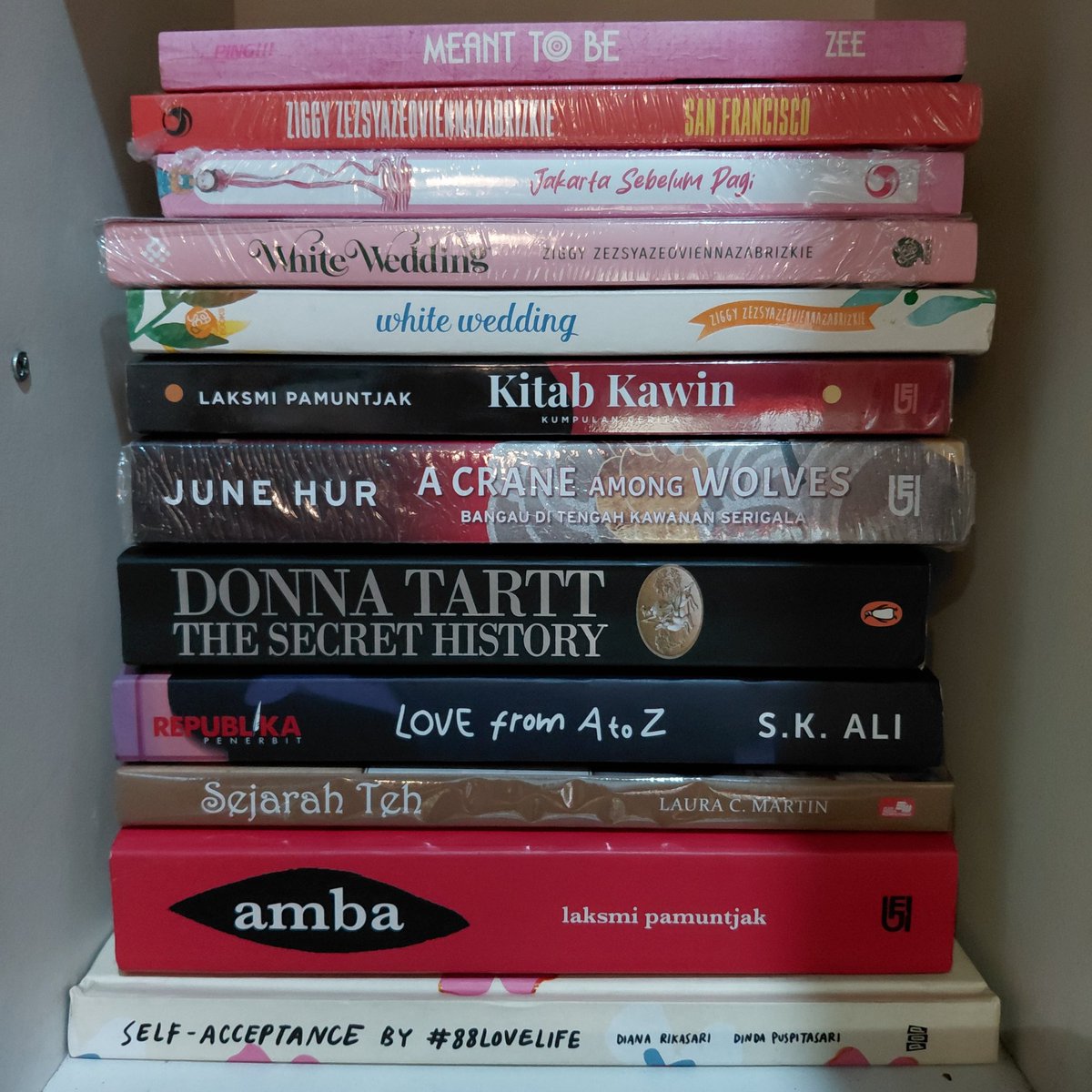 nad 🐾🤸‍♀️ tweet media