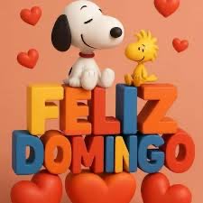 la gata Ofe @gataofe tweet media