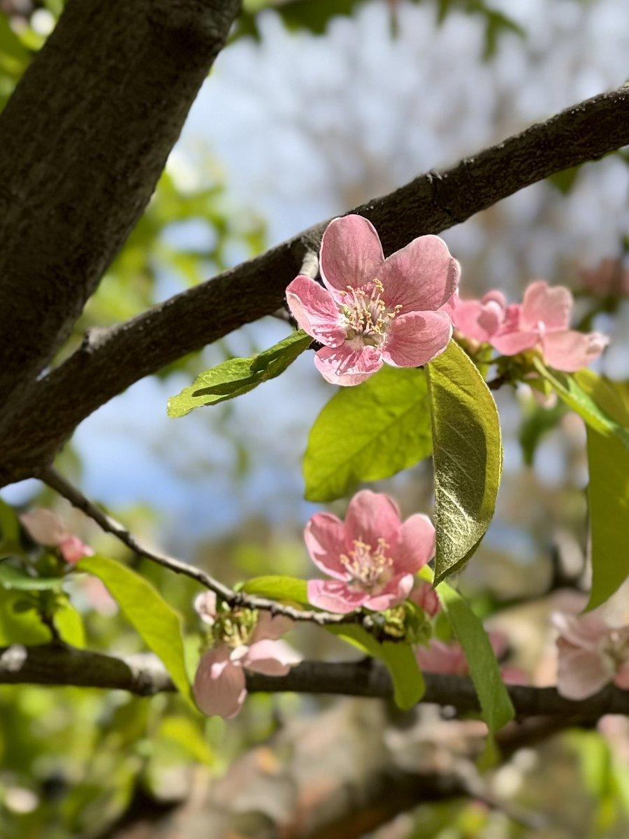 🎐🌻ゆーひん🌻🎐 tweet media