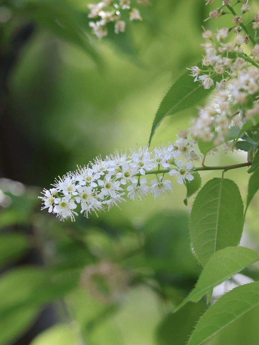 🎐🌻ゆーひん🌻🎐 tweet media