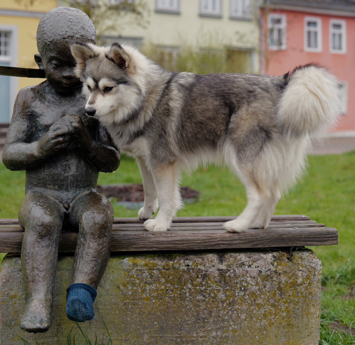 Bärenjude tweet media