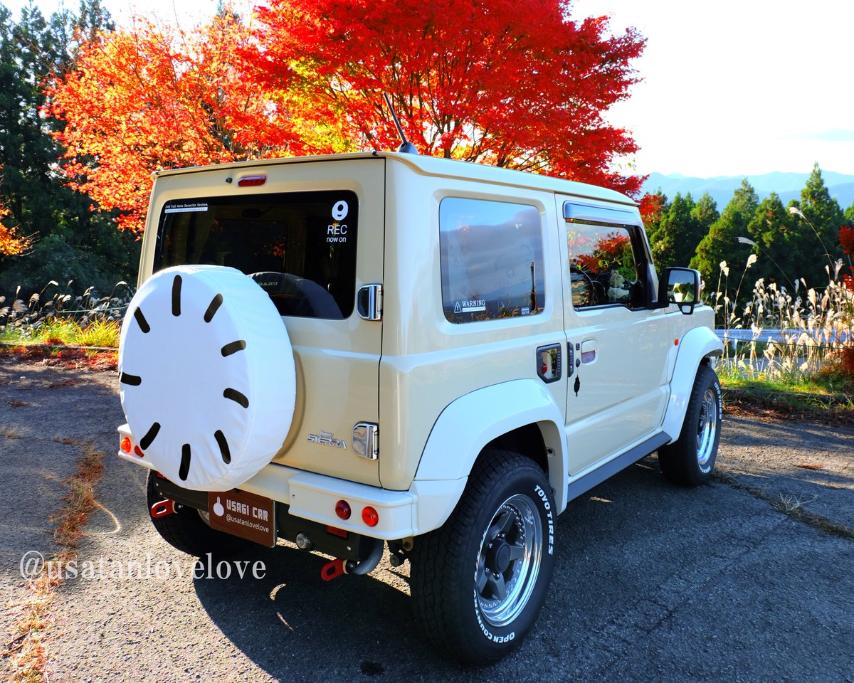 うさぎcarいっぱい見て貰えて嬉しいです🐰
カスタムして今はこんな感じです。
夏っぽいところでも撮影したいな～