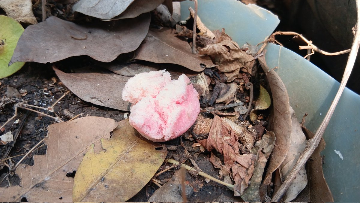 ธีติพงศ์ เอี่ยมละออ tweet media