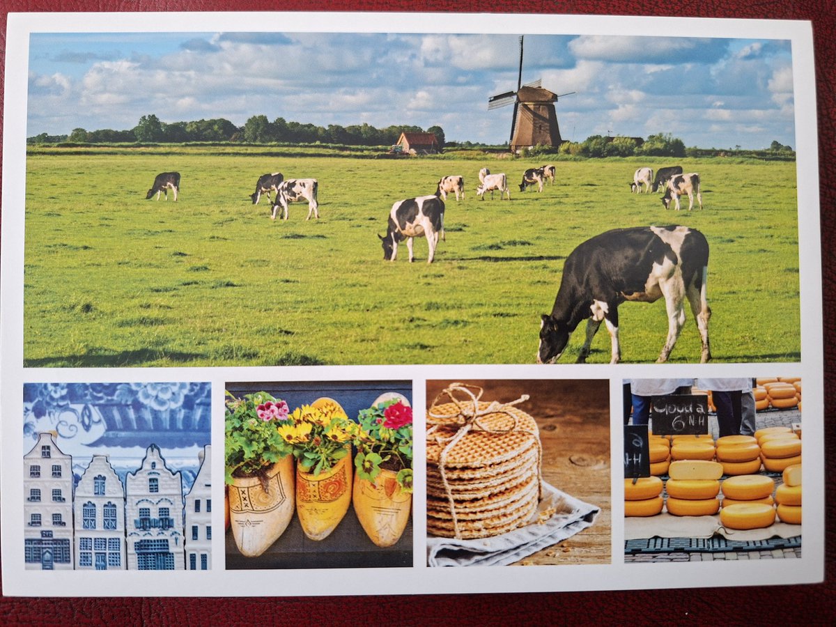 Anna Postma 🦆 tweet media