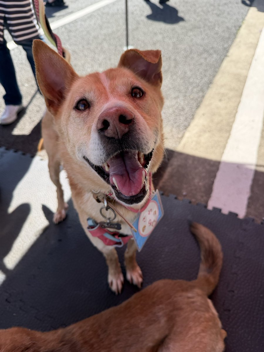 あっこ🍈🫧 tweet media