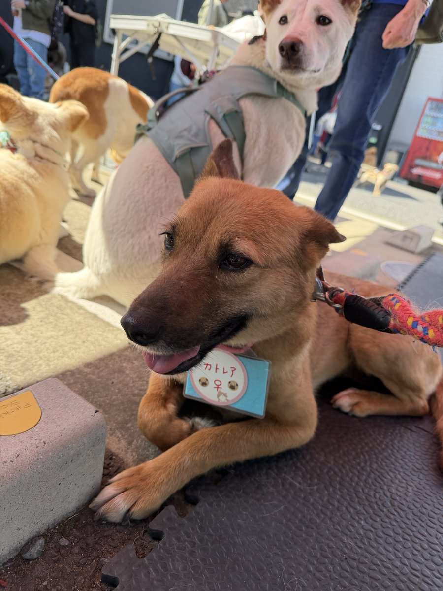 あっこ🍈🫧 tweet media