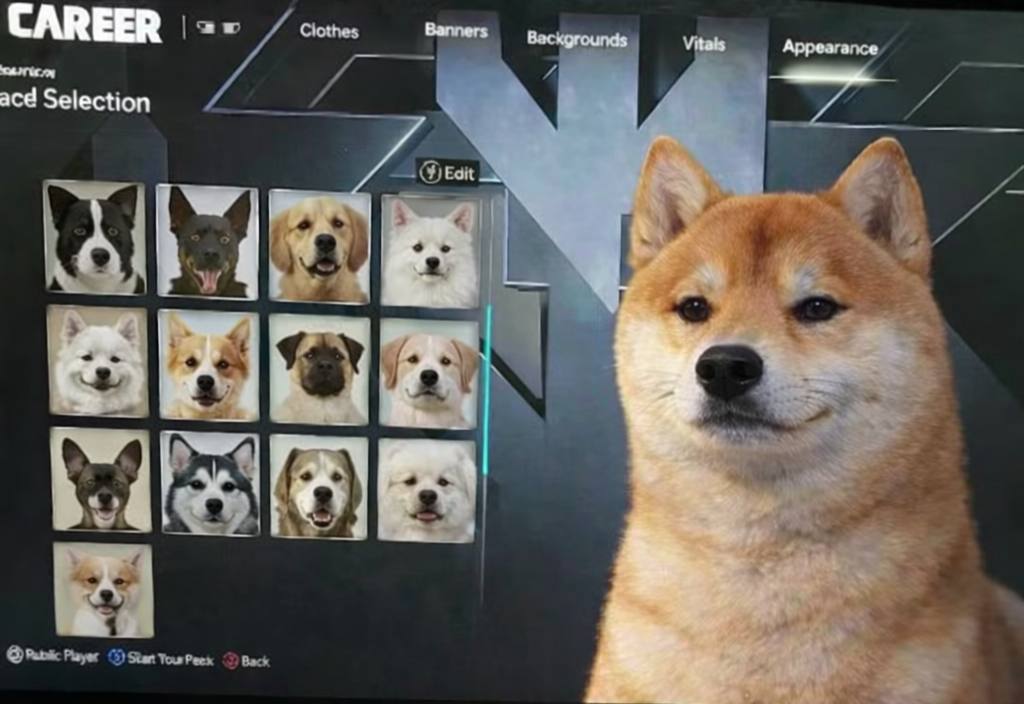 Dog tweet media
