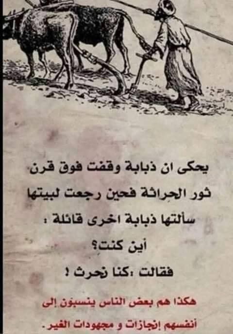 DIJLA85's tweet photo. لاتنسى من الحماقة ان ترافق الذباب فليس عنده مايخسره 
سوى تقزيمك  *
#حكمة #حكايات #العالم #العالم_اليوم https://t.co/iTR8OhQNnb
