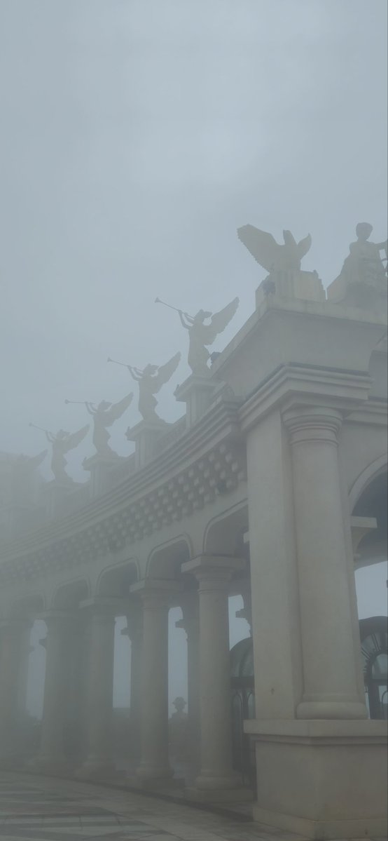 몽실 (트친소) tweet media