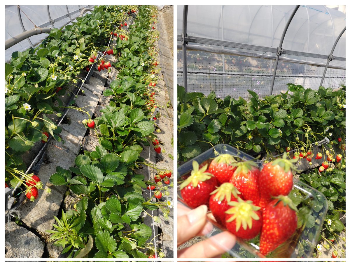 moto cafe Ours. tweet media