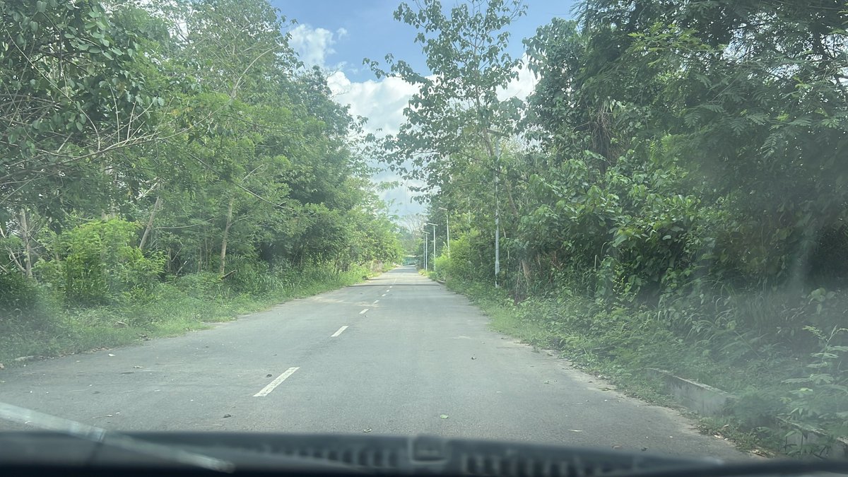 𝐿𝑢𝑠ℎ//𝑃𝑒𝑟𝑓𝑢𝑚𝑒 𝑃𝑙𝑢𝑔 ❤︎ tweet media